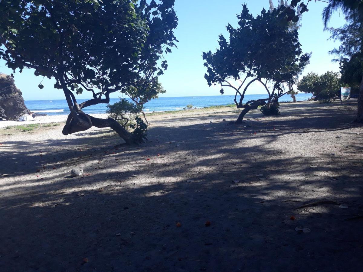 Les Pieds Dans L'Eau ! Lejlighed Saint-Gilles-les Bains Eksteriør billede